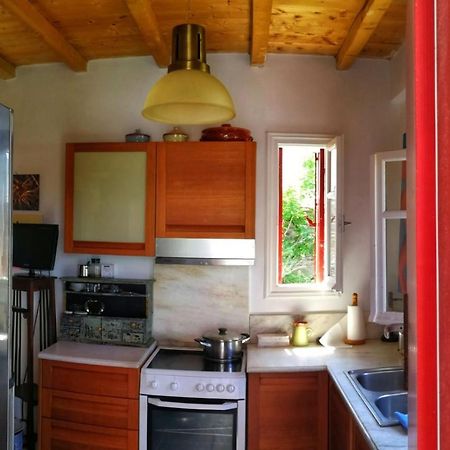 Arthome0B Pánormosz Kültér fotó