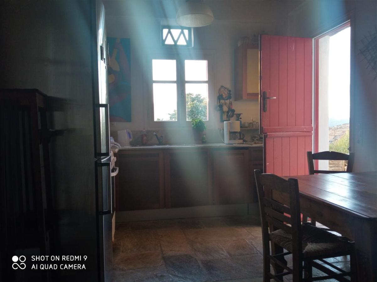 Arthome0B Pánormosz Kültér fotó